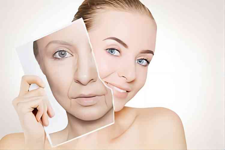 Anti-aging products